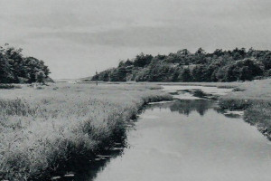 Bilde av Hamburgkilen